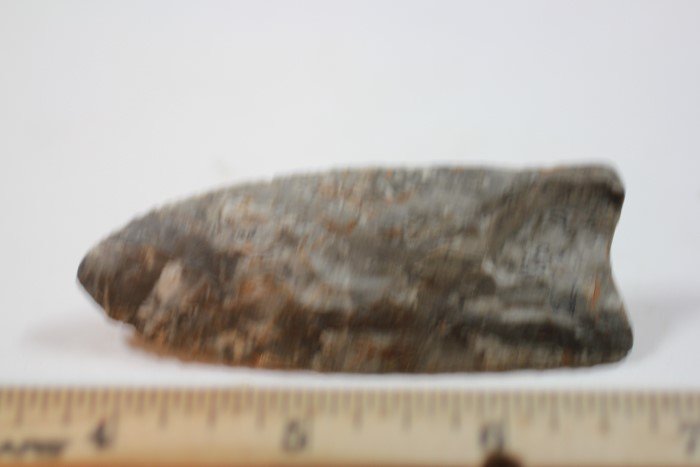 3 1/8' Clovis, Kentucky W/COA (1 of 2)