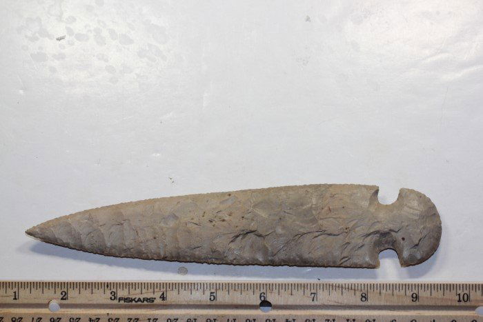 8 1/2' Gray Ghost, Texas (1 of 2)