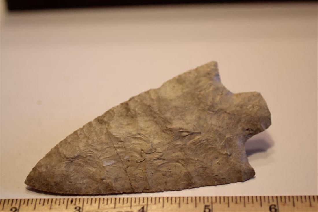 4 3/16" Newnan, Alabama Gulf Coast w/ COA (1 of 3)