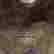 item-61717162=3