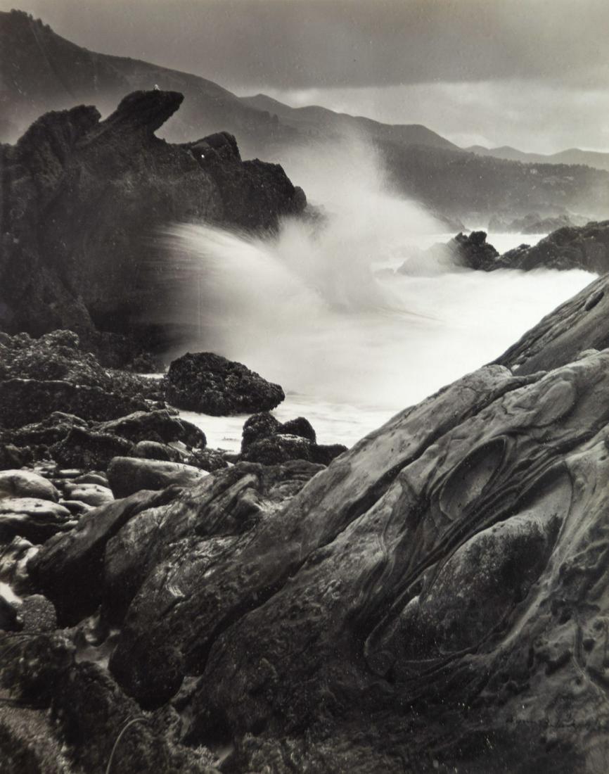 Wynn Bullock (American, 1902-1975) - Point Lobos, (1 of 3)