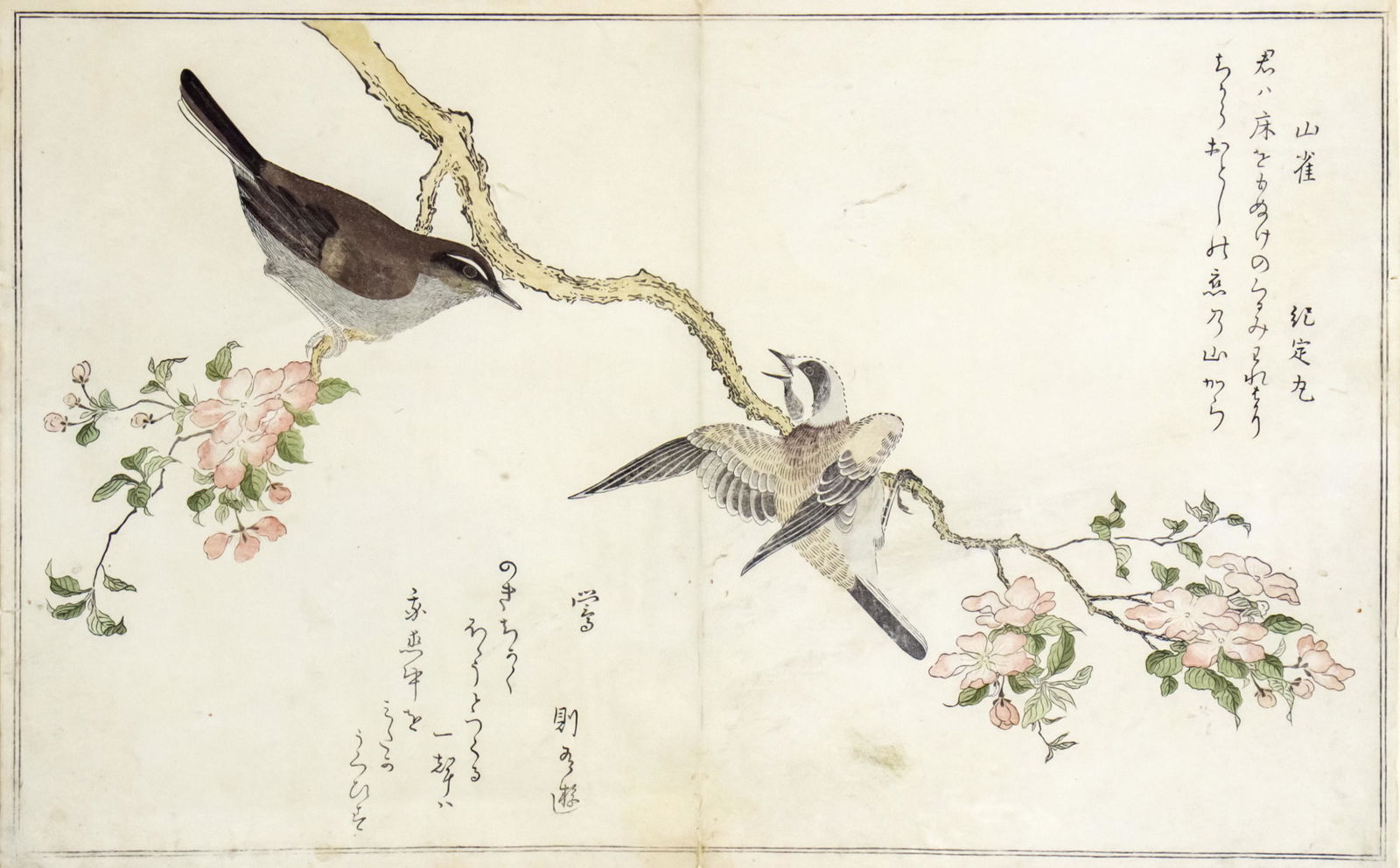 Kitagawa Utamaro (Japanese, 1753-1806) - Birds on Flowering Branch, Woodblock Print. (1 of 6)