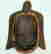 item-31745350=3