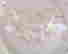 item-31745370=2