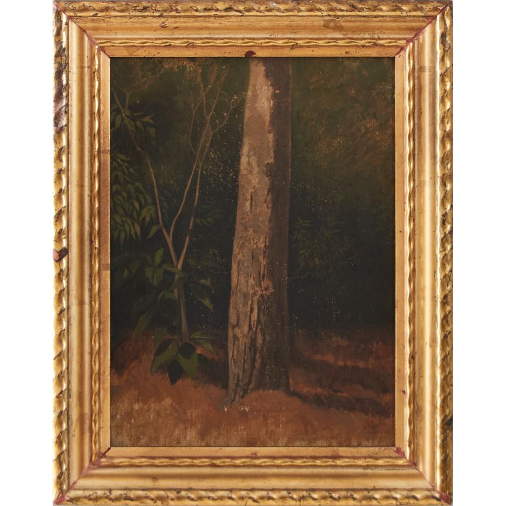 PITTORE DEL XIX SECOLO OLIO su tela "Tronco d'albero",: PITTORE DEL XIX SECOLO OLIO su tela "Tronco d'albero", monogrammato in basso a destra. Misure: cm 31 x 22,5