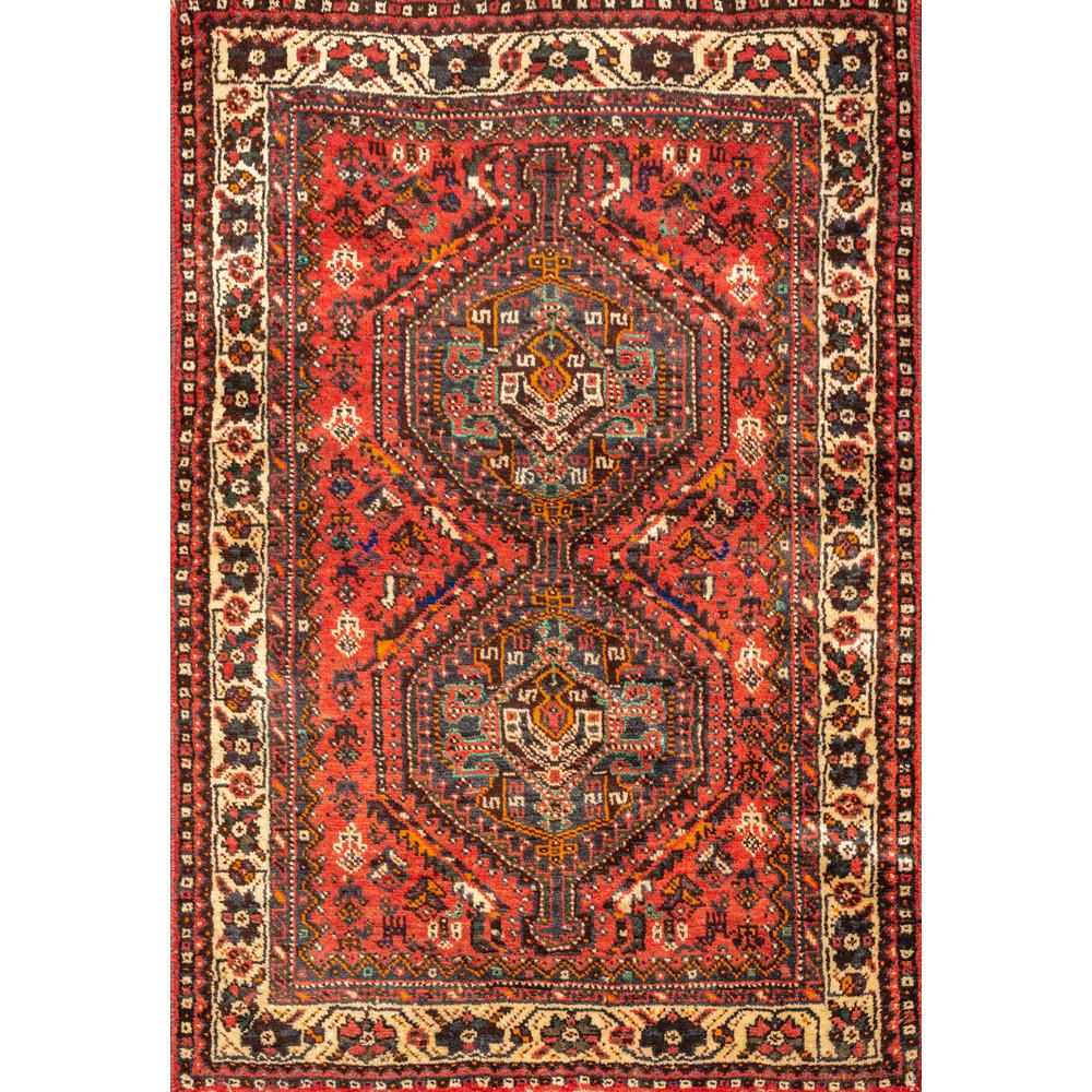 DUE TAPPETI SHIRAZ (1 of 2)