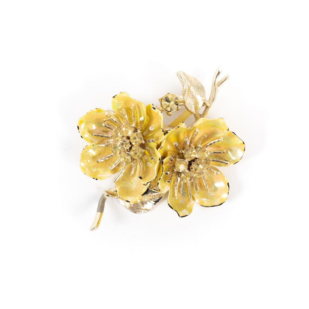 CORO SPILLA (1 of 1)