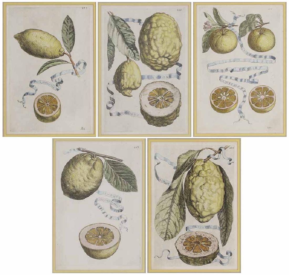 Five Decorative prints (1 of 6)