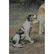 Edmund Henry Osthaus - 4
