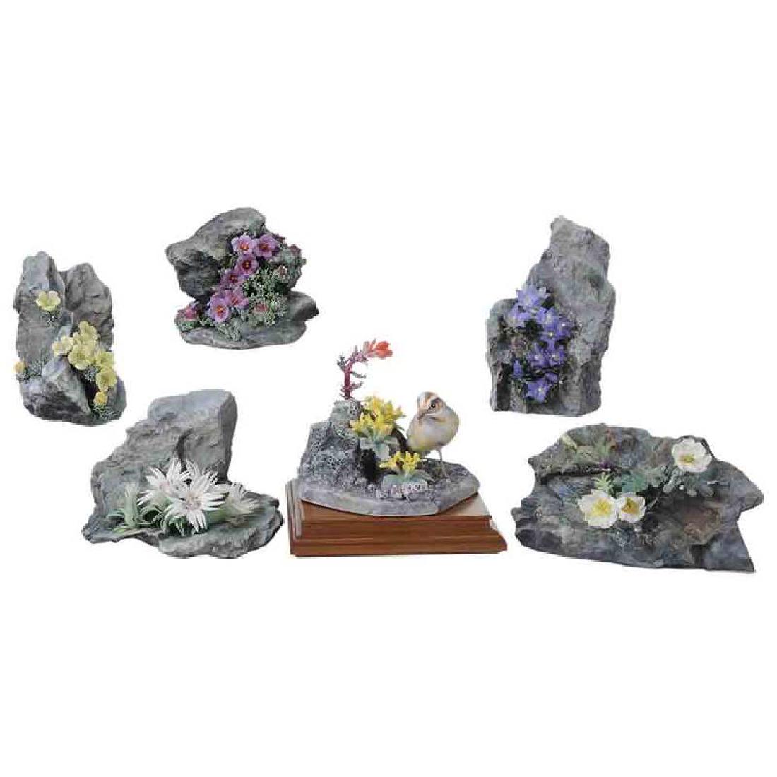 Six Dorothy Doughty Botanical Rock Formations