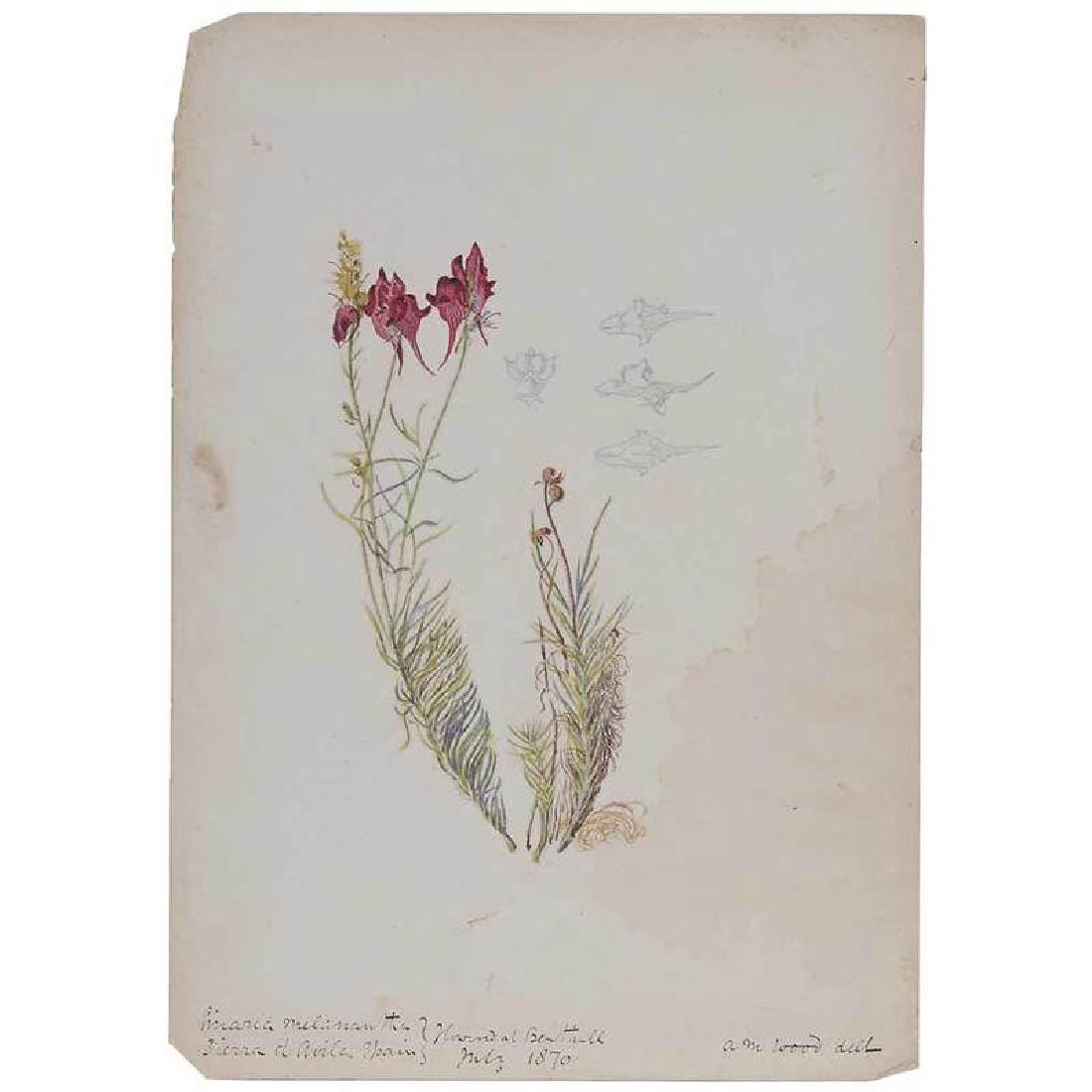 Maw/Wood Family (1 of 10)