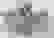 item-57149897=2