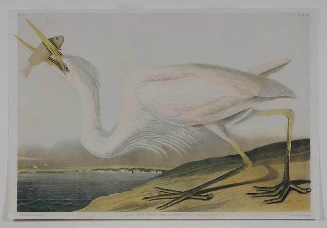 After John James Audubon (1 of 8)
