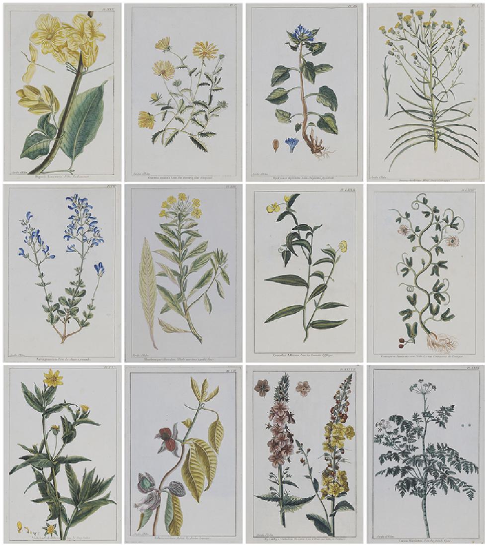 Pierre Joseph Buchoz (1 of 20)