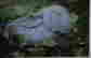 item-59003848=3