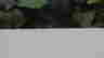 item-59003848=4