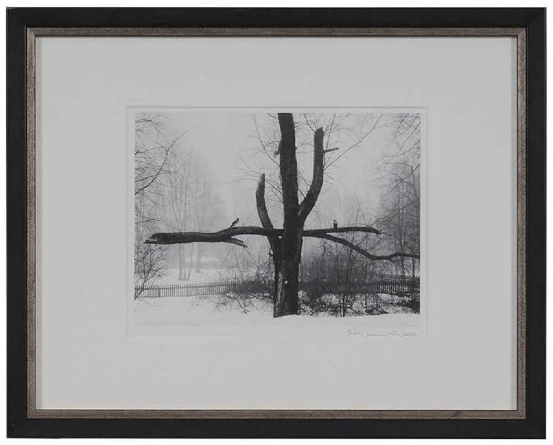 Pentti Sammallahti (1 of 4)