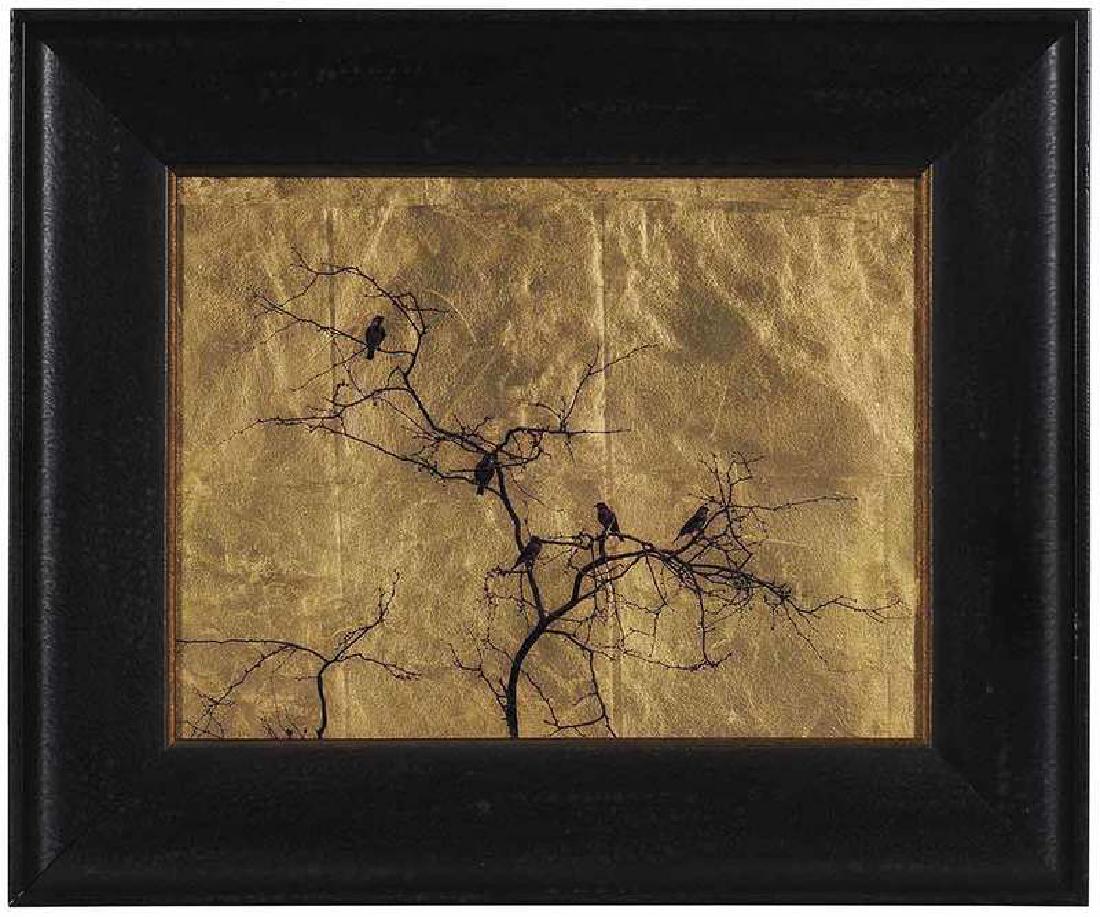 Kate Breakey (1 of 4)