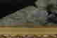 item-59004098=7