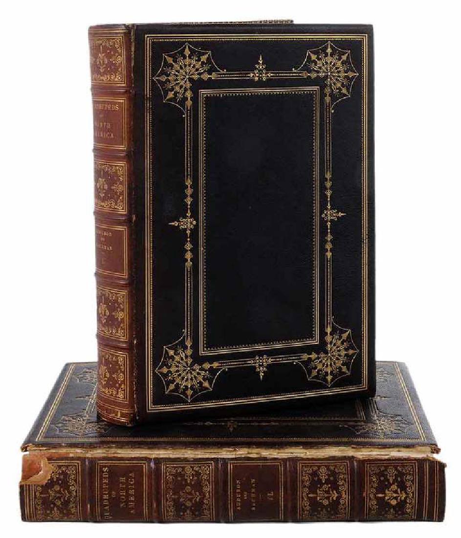 The Quadrupeds of North America, Two Volumes (1 of 9)