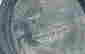 item-59004183=10
