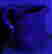 item-59004183=13