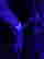 item-59004183=14
