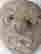 item-59004227=7
