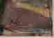 item-59004273=6