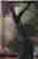 item-59004273=7
