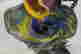 item-59004311=2