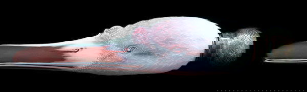 Webb cameo swan's head perfume,: Webb cameo swan's head perfume, white cameo decoration on red ground, threaded top, marked on side "R.B. 11109", probably Thomas Webb & Sons, silver top with marks for London, 1884, (maker "FBM"), 9-1