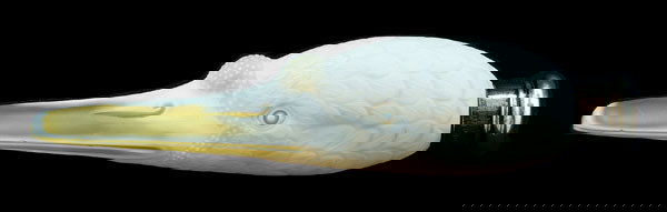 Cameo glass swan's head perfume,: Cameo glass swan's head perfume, white over yellow, marked on side "RD11109", Thomas Webb & Sons, (England, 1885-1925), silver cap with marks for London, 1884, 6 in. Very minor edge chips. Provenance: