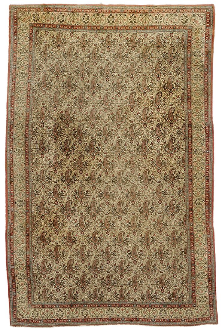 Ivory Field Sarouk Carpet (1 of 4)