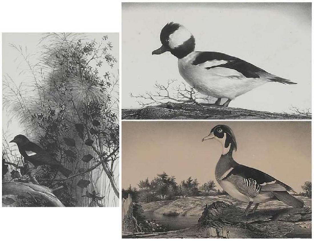 Stow Wengenroth (1 of 8)