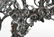 Fine George III English Silver Epergne - 10
