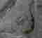 item-66112991=13