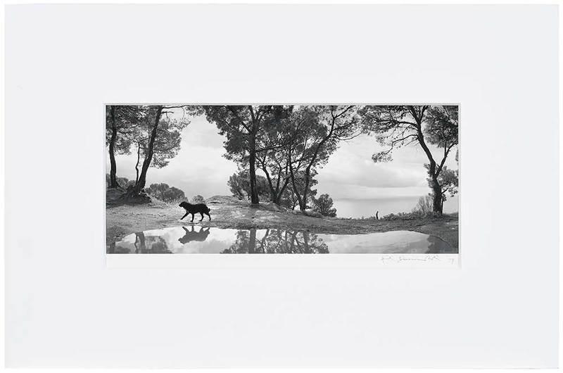 Pentti Sammallahti: (Finnish, b. 1950)Cilento, Italy, 1999, signed indistinctly in pencil lower right margin, dated '99, gelatin silver print, 6 x 14 in. (sight); matted not framed, 14-1/2 x 22 in. Provenance: Private Co