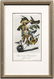248: 17 Octavo Audubon prints: - 2
