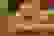item-80612556=3