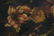590: Flemish School still life painting, - 5