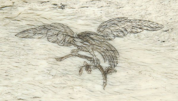 American scrimshaw pan bone panel, - 3