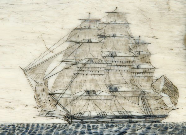 American scrimshaw pan bone panel, - 4
