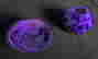 item-85438028=8