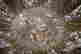 item-85438039=5
