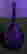 item-85438040=7
