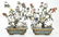 Pair of Jade Bonsai Trees in Cloisonne Planters