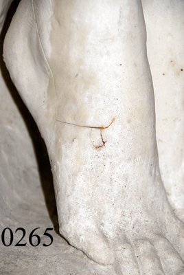 Sculpture after Oscar Lenz, - 7