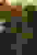 item-5811918=5