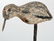 Three Carved and Painted Shore Birds, One Signed - 6